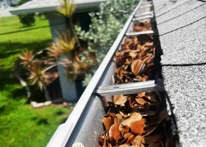 Forest Acres gutter cleaning home page